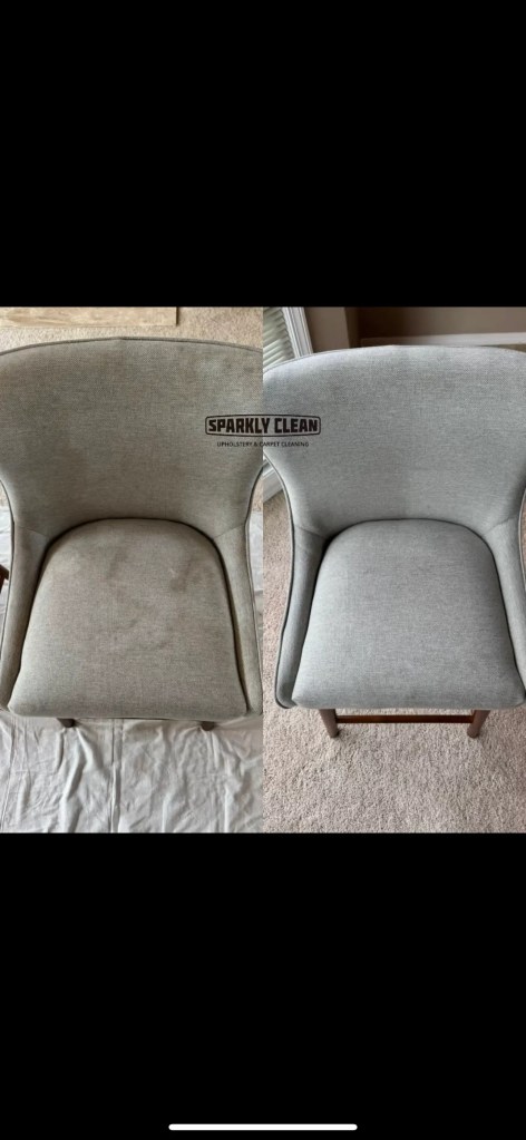 natural fabric chairs before cleaning Mukilteo WA