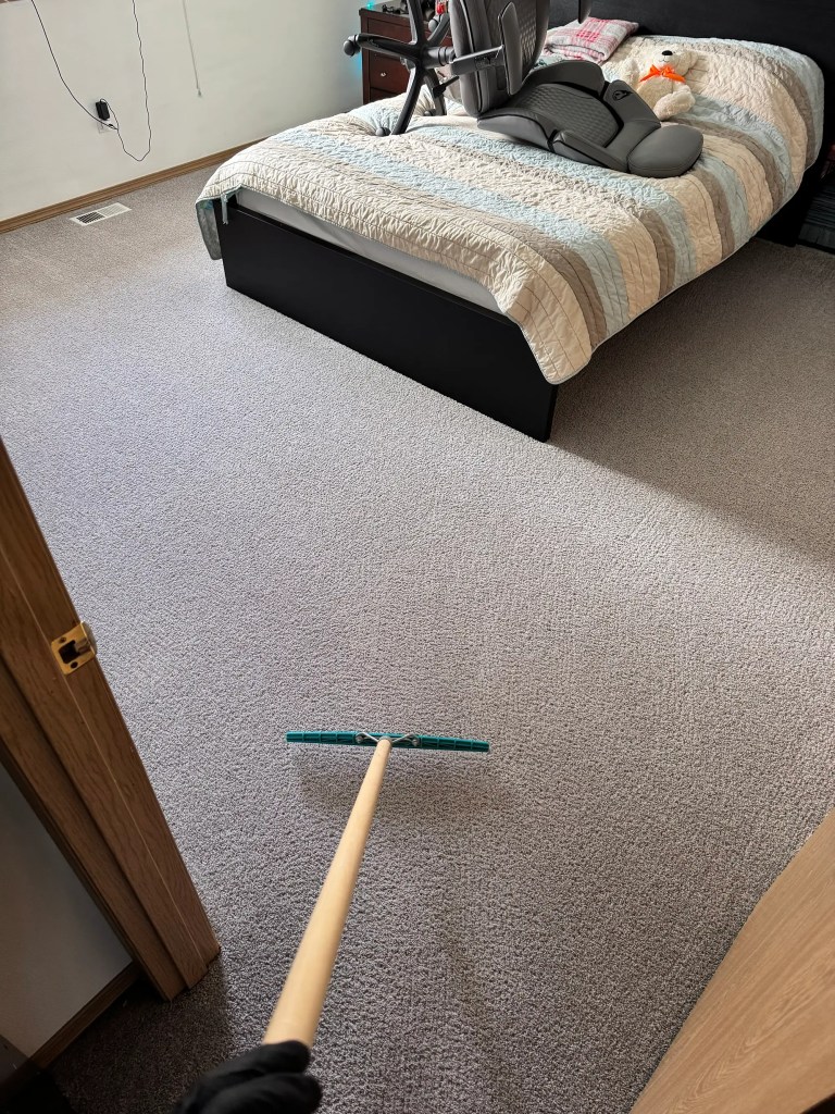 Professional carpet grooming after deep carpet cleaning in Everett WA
