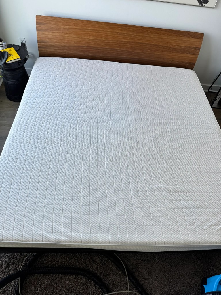 Clean white mattress after professional urine stain removal and hot water extraction cleaning in Everett WA