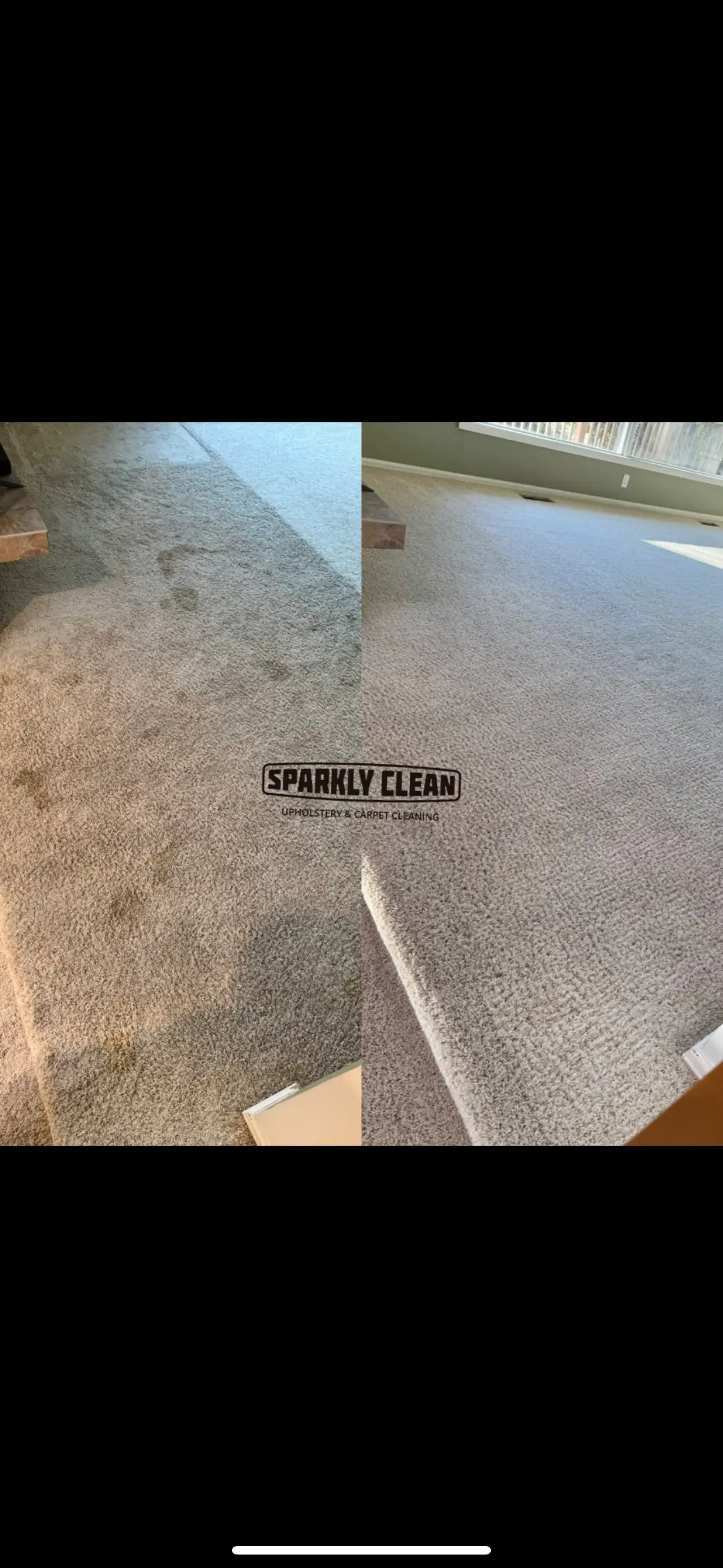 Pet urine carpet removal treatment in a local home