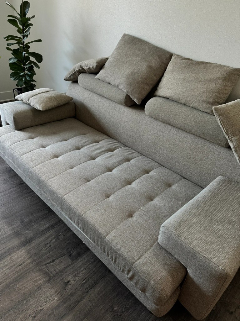Professional sofa cleaning for a family living room sofa
