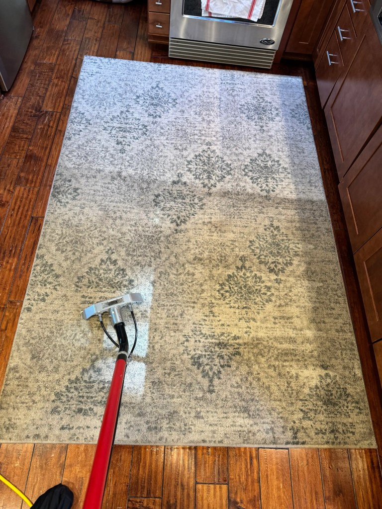 Professional hot water extraction cleaning of a patterned area rug on hardwood floor in Everett WA home