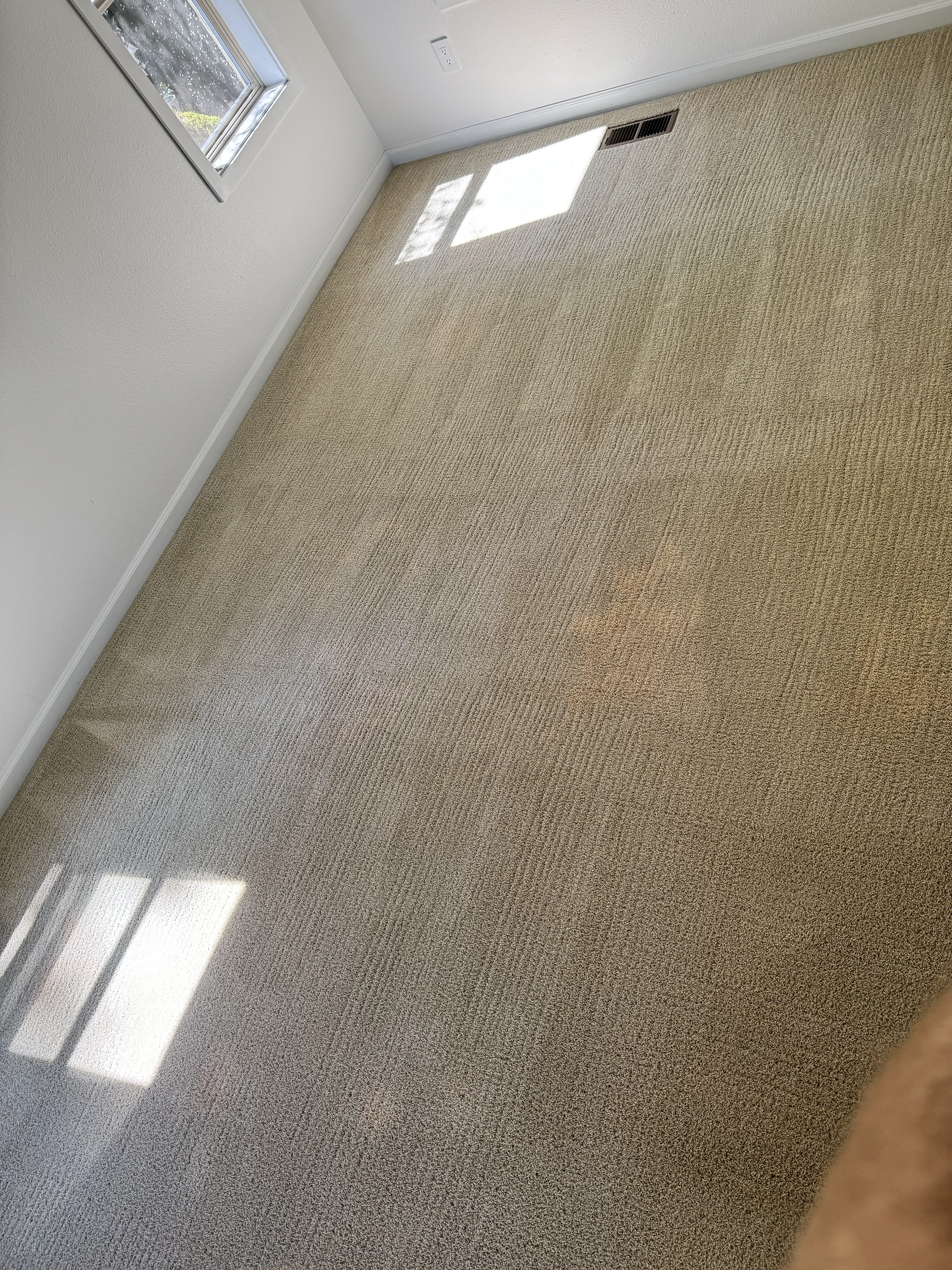 Light bleached spots visible on beige carpet