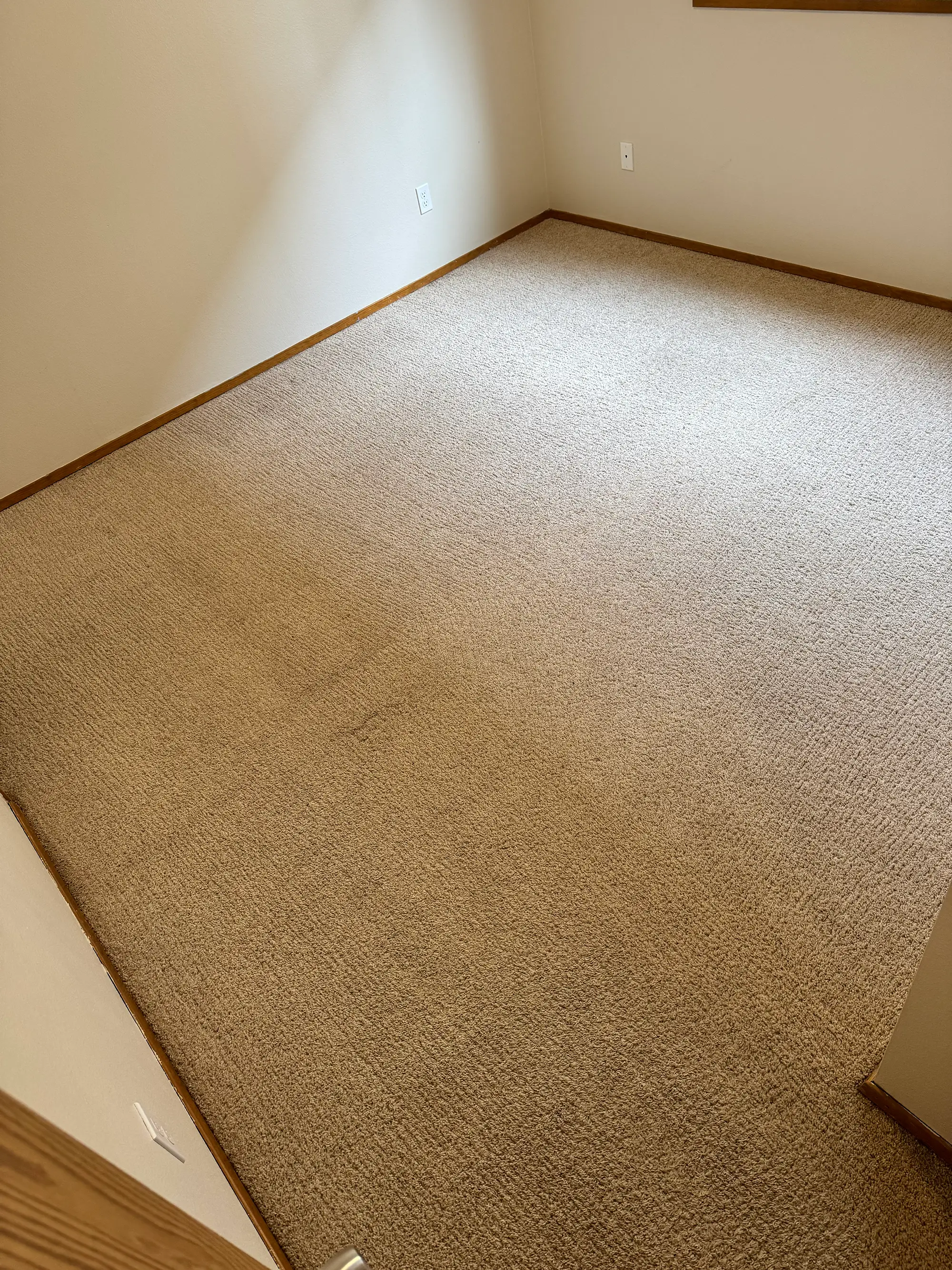Carpeted bedroom before deep carpet cleaning in Everett, WA