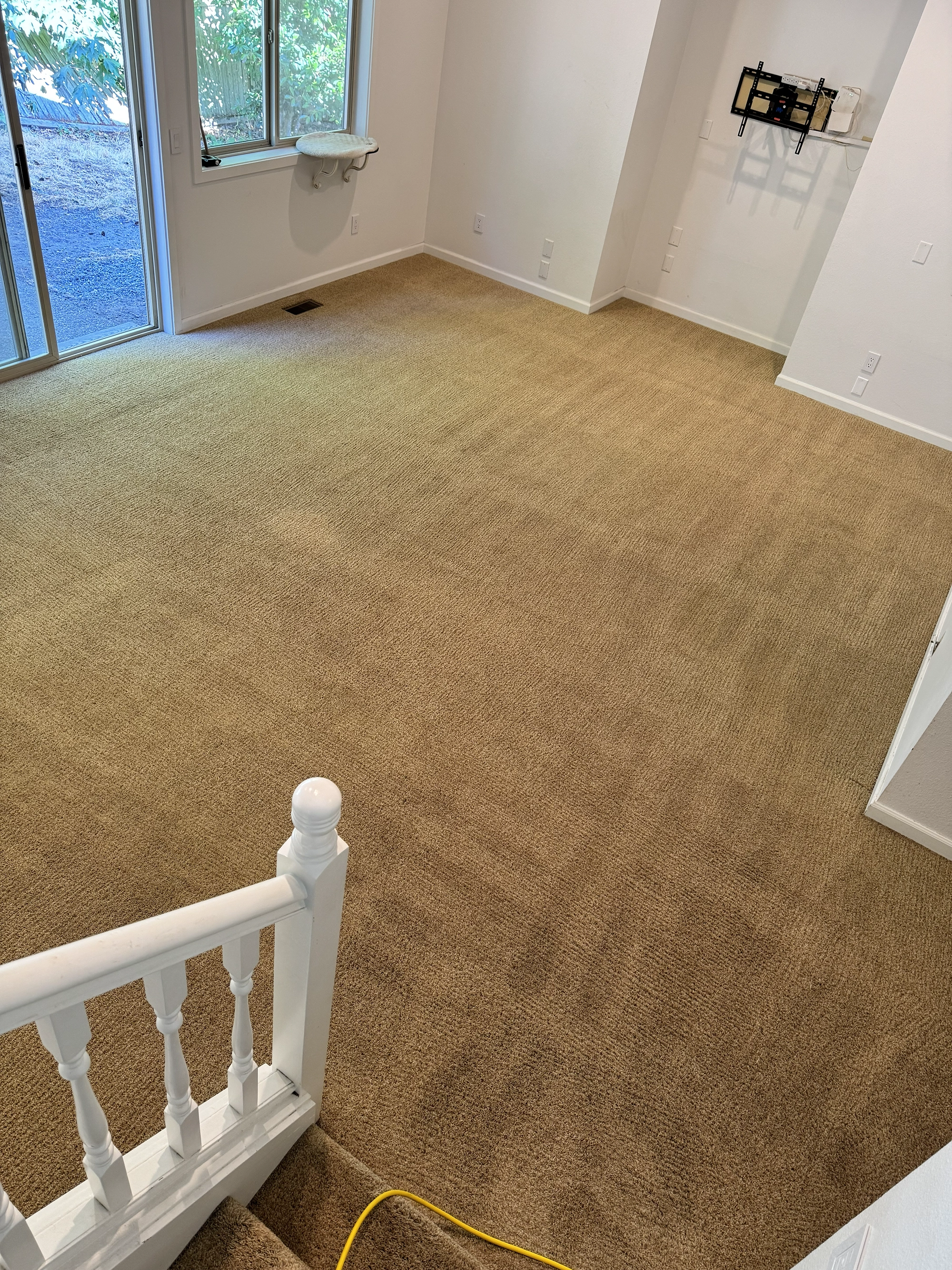 Carpeted living room after cleaning in Mukilteo