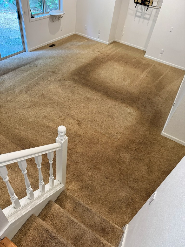 Carpeted living room before cleaning in Mukilteo