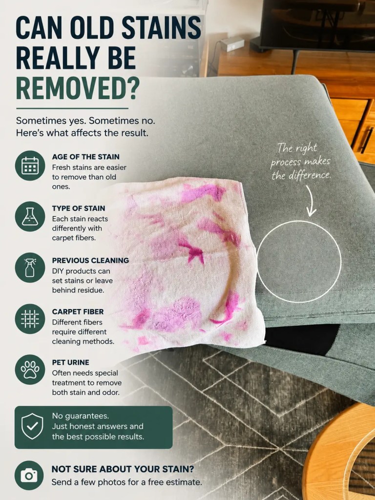 Infographic explaining factors that can affect whether old carpet stains can be removed
