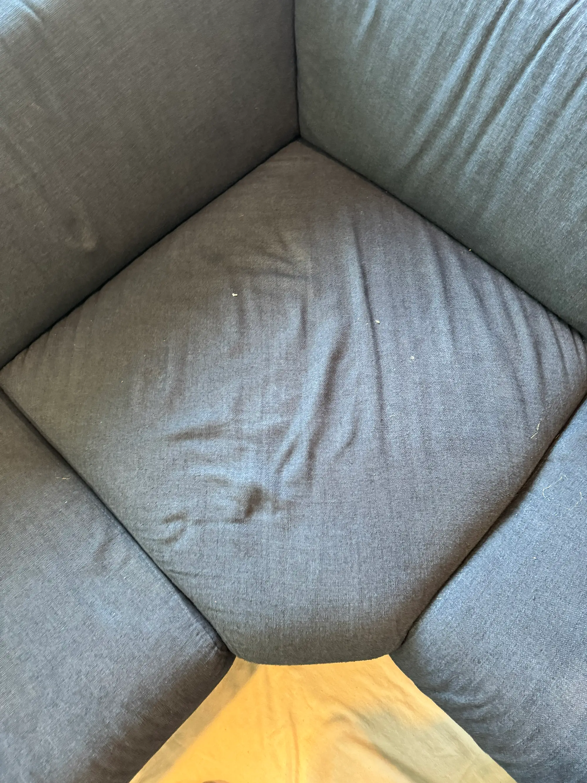 Dark sofa seat cushion before professional upholstery cleaning