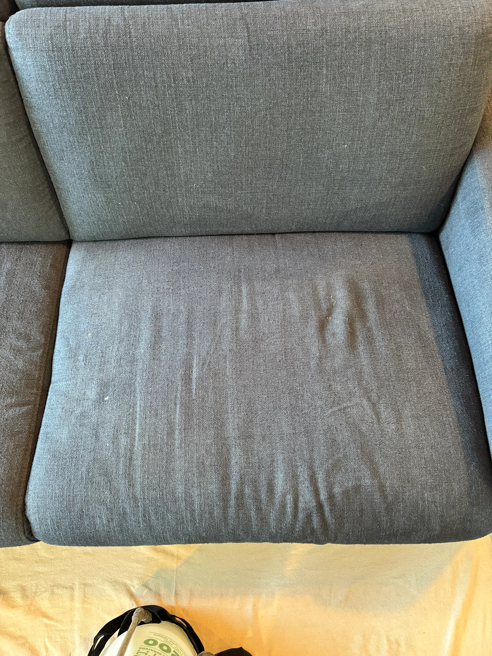 Sofa seat and back cushions before deep upholstery cleaning