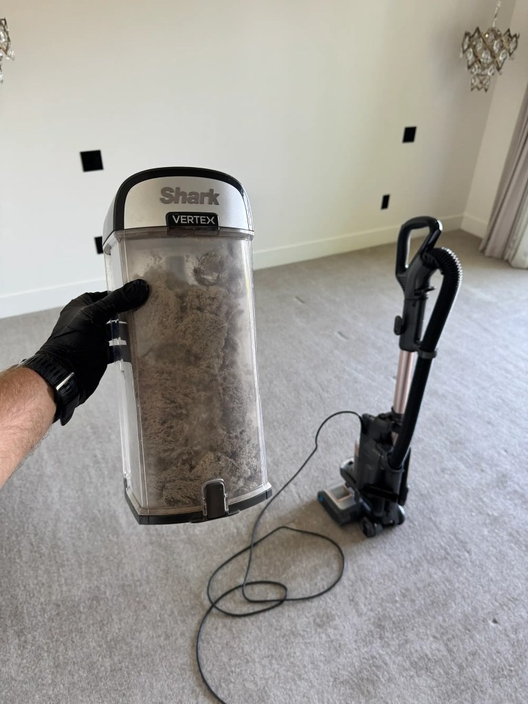 Pet hair, dust and debris removed during wool carpet cleaning