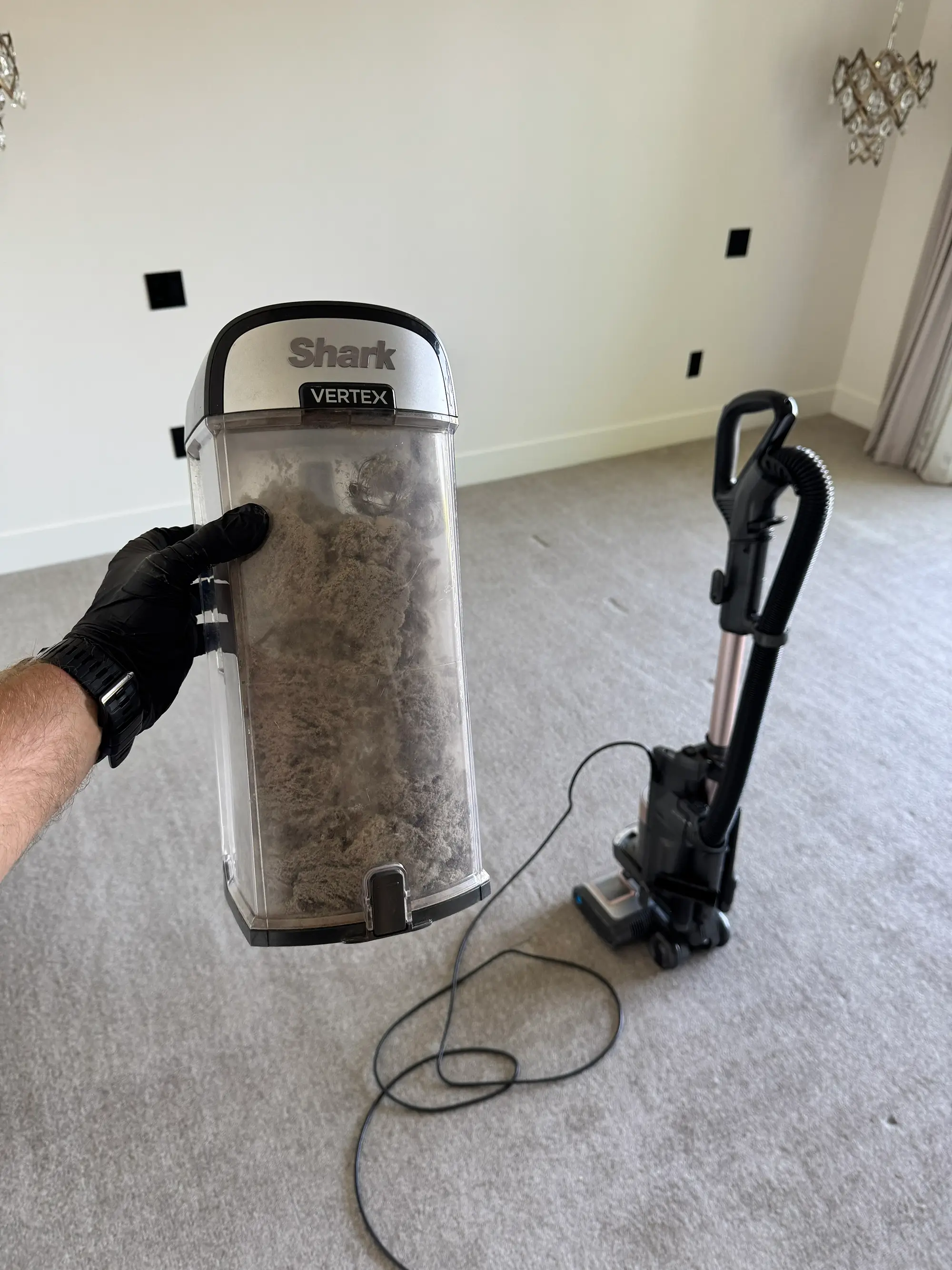 Pet hair, dust and debris removed during wool carpet cleaning