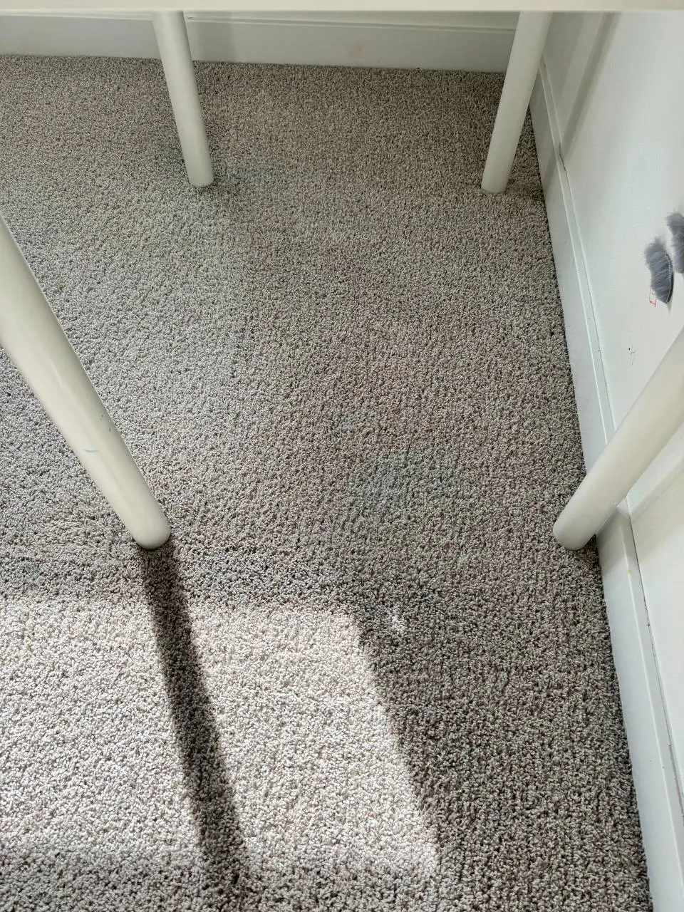 Carpet area beneath white furniture after treatment with the colored stains no longer visible