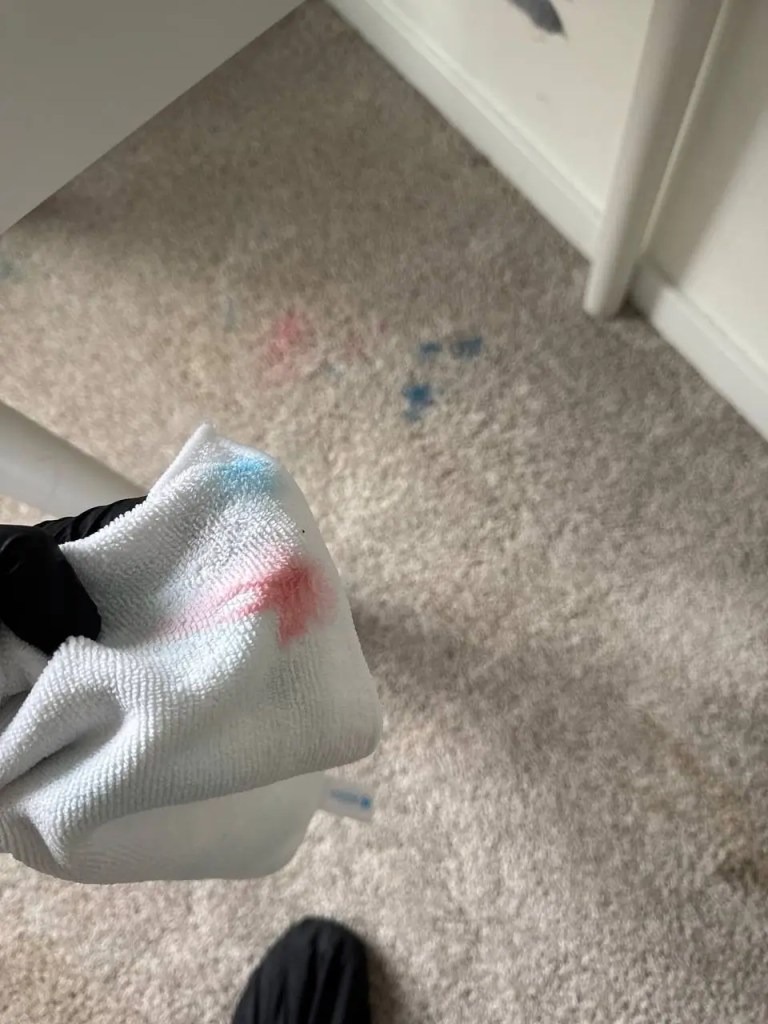 White towel showing red and blue color transfer during carpet stain treatment