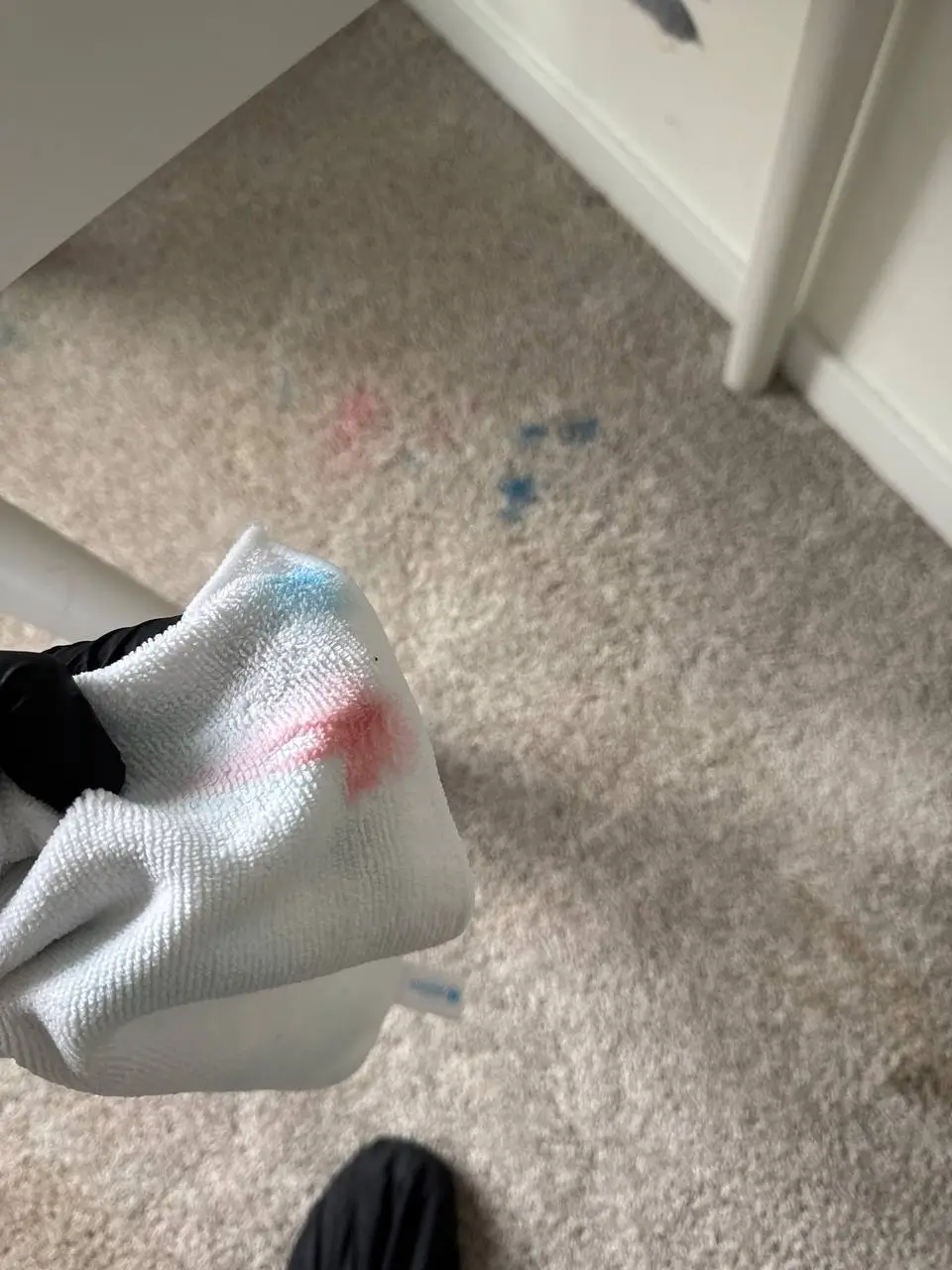 White towel showing red and blue color transfer during carpet stain treatment